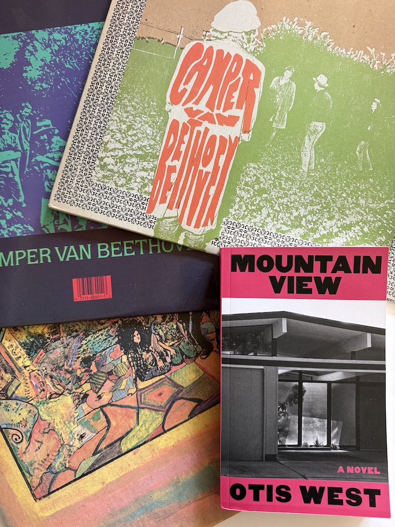 Camper Van Beethoven and the Sound of Mountain View